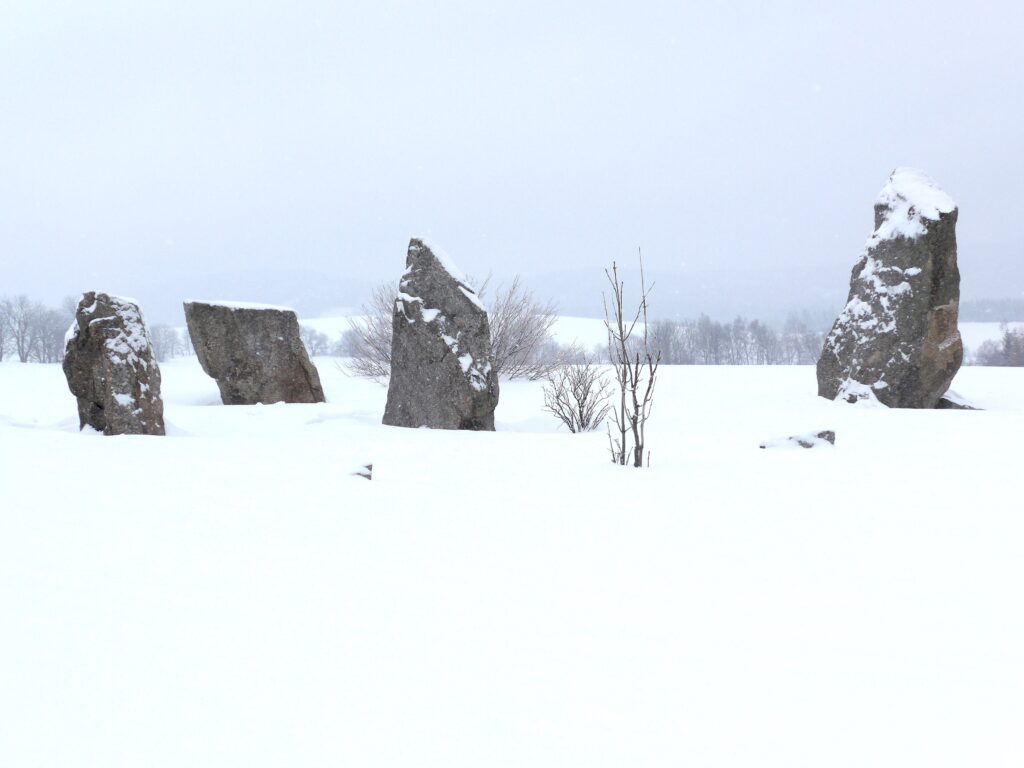 Tekst alternatywny (ALT): Ośnieżone menhiry tworzące kamienny krąg Stonehenge w Říčkach v Orlických horách w Czechach.